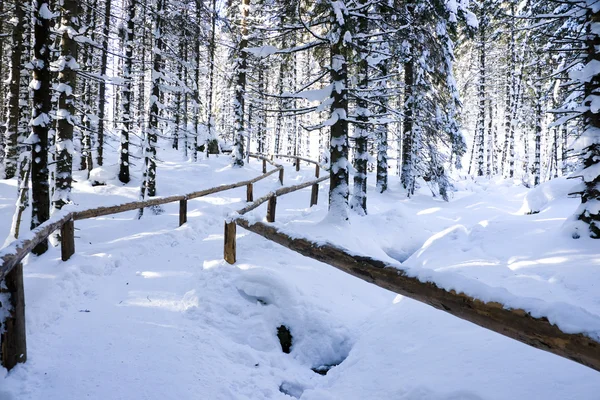 ポーランドの冬の風景、タトラ山脈 — ストック写真
