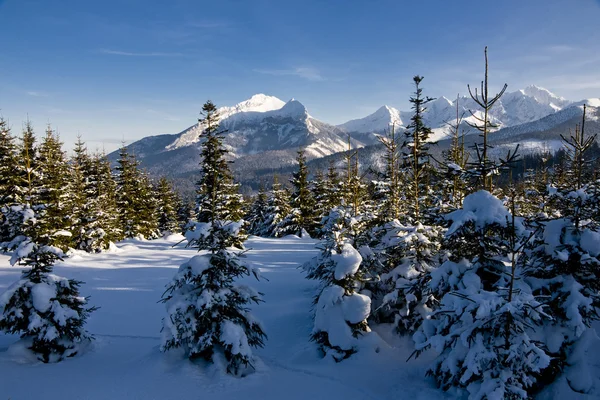 Polska Tatrabergen i vinterlandskap — Stockfoto