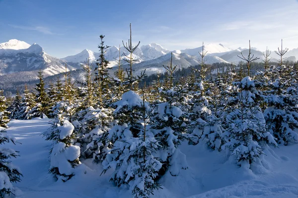 Tatras polacos en el paisaje de invierno —  Fotos de Stock