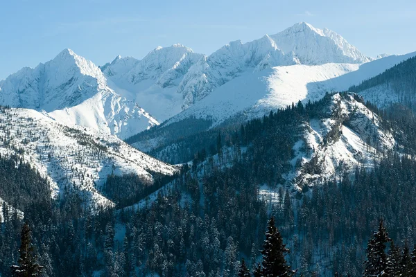 Montanhas Tatra no inverno, close-up — Fotografia de Stock