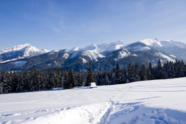 Polish Tatras in winter scenery clipart