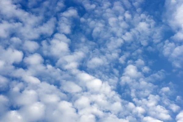 Clear blue sky with white clouds — Stock Photo, Image