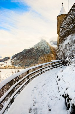 İsviçre manzara Dağı kış