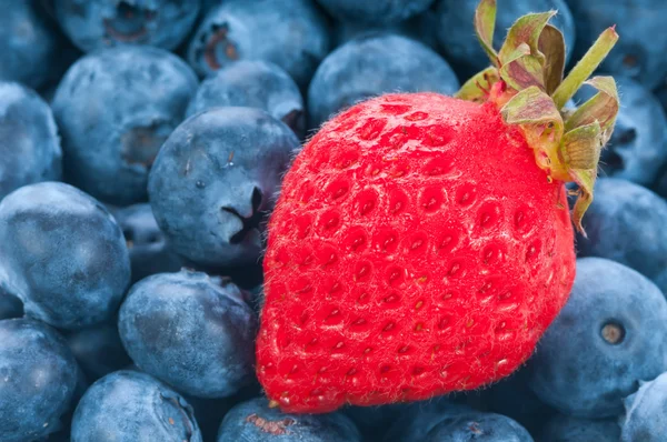 Verse aardbeien met blauwe bes — Stockfoto