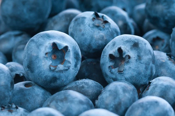Fresh blue berries group — Stock Photo, Image