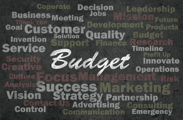 Έννοια του προϋπολογισμού με τις επιχειρήσεις σχετικές λέξεις σε ρετρό φόντο — Φωτογραφία Αρχείου