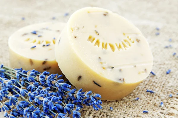 Home-made soap with lavender — Stock Photo, Image