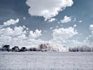 Kızılötesi alanında