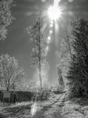 Infrared photograph. Sun clipart