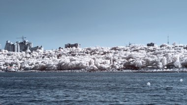 Odessa, sahil. IR