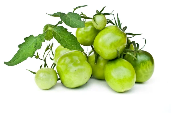 Branch of green tomatoes — Stock Photo, Image