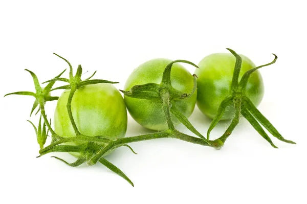 Branch of green tomatoes — Stock Photo, Image