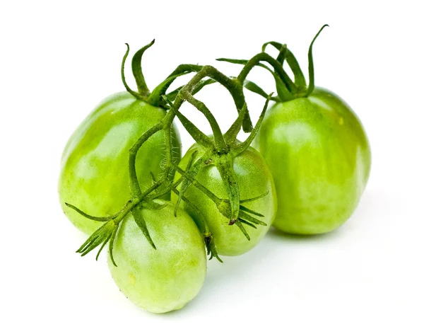 Rama de tomates verdes —  Fotos de Stock