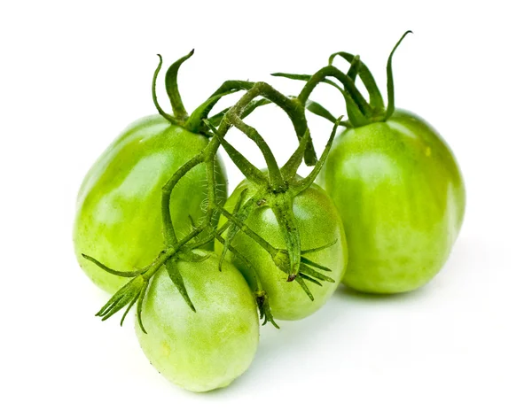 Branch of green tomatoes — Stock Photo, Image