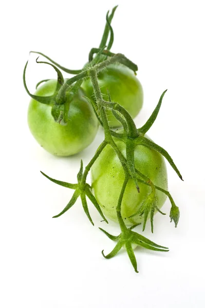 Ramo de tomates verdes — Fotografia de Stock