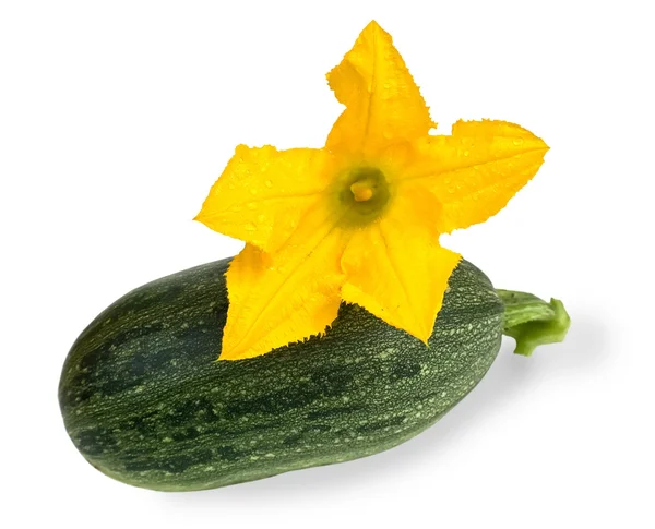 Желтый цветок и спелые овощи — стоковое фото