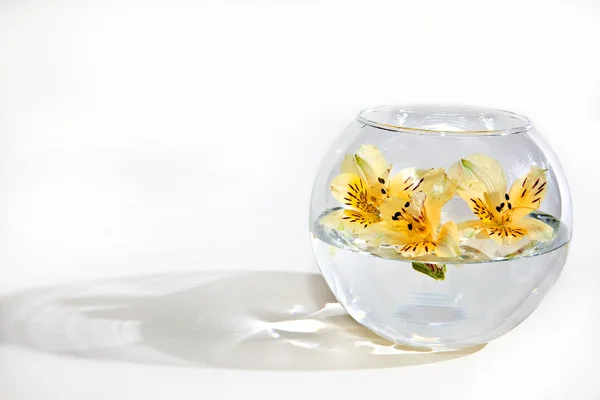 stock image Flowers float in a vase