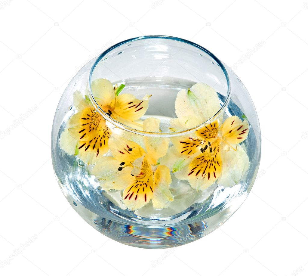 Flowers float in a vase Stock Photo by ©ppl1958 8007330