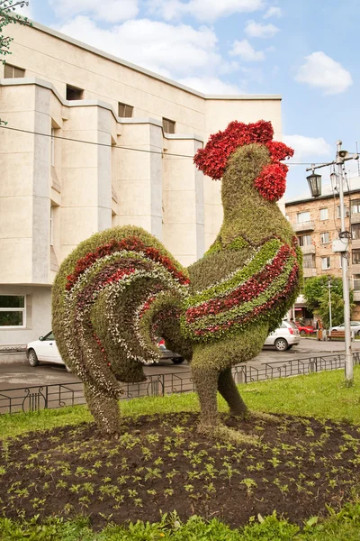 Pik van bloemen — Stockfoto