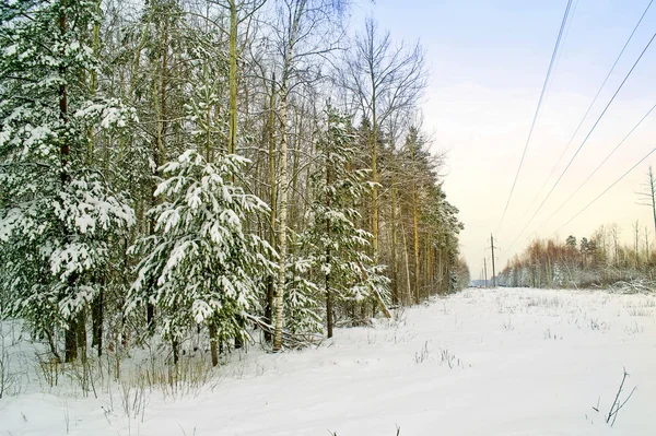 Glade. winterlandschap — Stockfoto