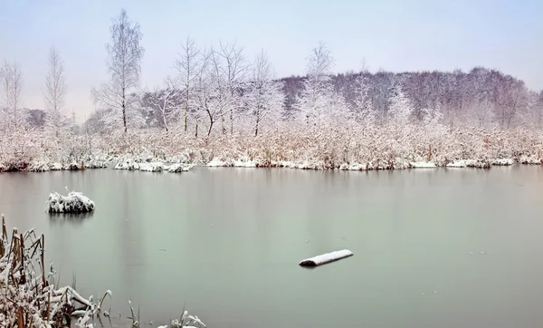 冬の湖 — ストック写真