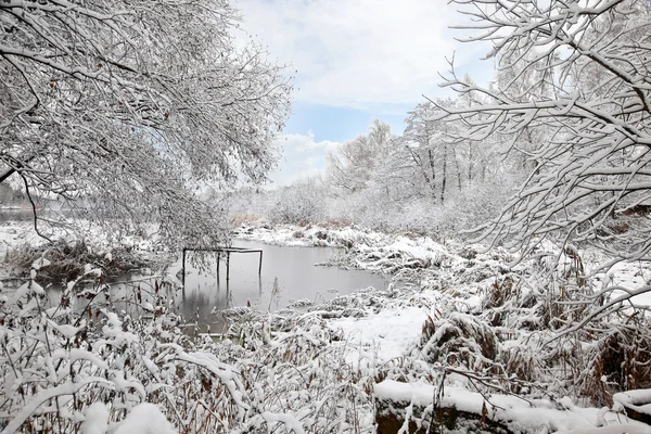 Struikgewas loopt aan de oever van het meer van de winter — Stockfoto