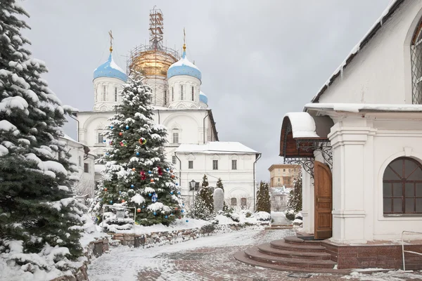 Новогодняя ель на заднем плане храма — стоковое фото