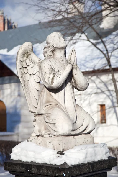 祈祷天使 — 图库照片