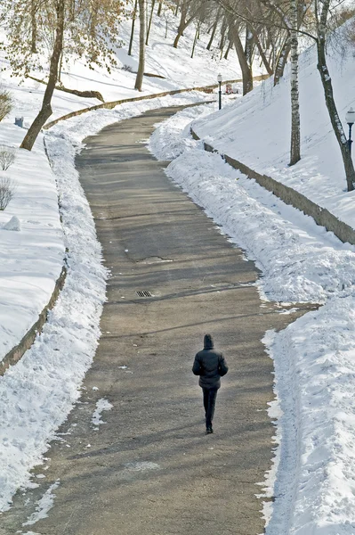 stock image Lane in the park