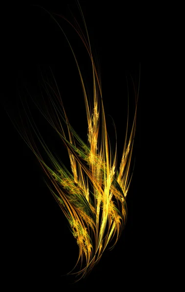 Planta, fractal — Fotografia de Stock