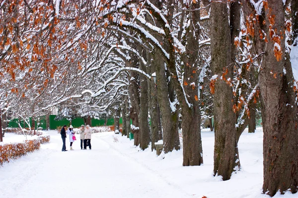 Winter Park. — Stock Photo, Image