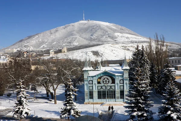 Dağ mashuk üzerinde göster. — Stok fotoğraf