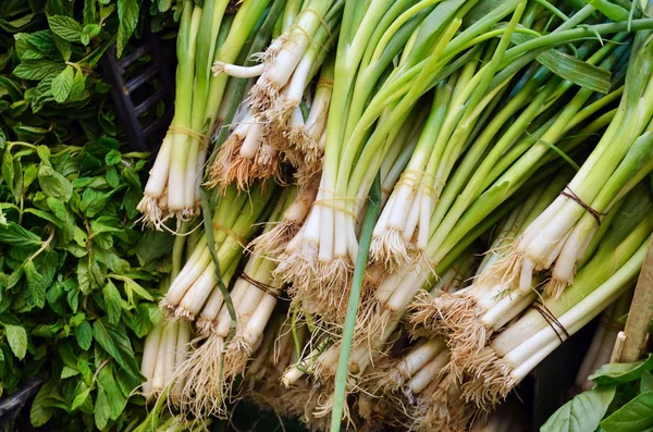 Close up of green onions — Stock Photo, Image