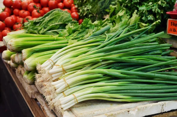 Primer plano de cebollas verdes en el puesto de mercado — Foto de Stock