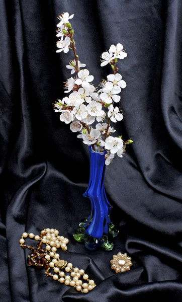 Aprikosenblüten in einer Vase vor einem schwarzen Tuch, noch im Retro-Look — Stockfoto