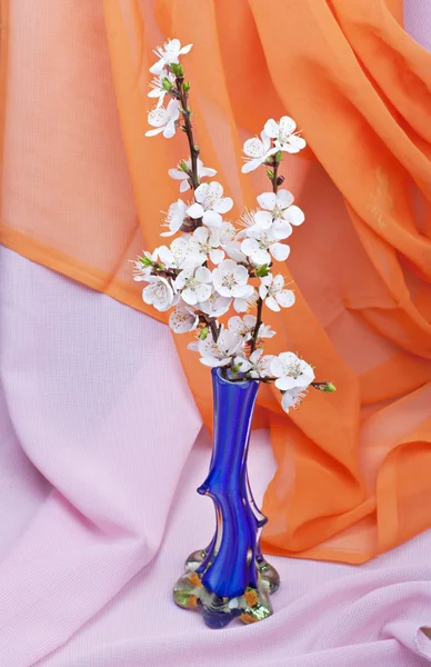 Abrikoos bloemen in een vaas tegen een achtergrond van roze en orang — Stockfoto