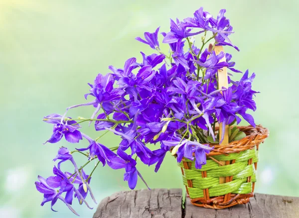 Boeket van lila bloemen — Stockfoto