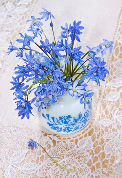Bluebel 在蕾丝桌布上，静物花瓶里 — 图库照片
