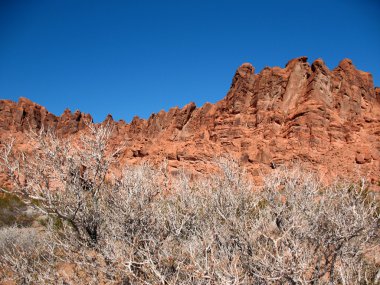 Valley of Fire Nevada