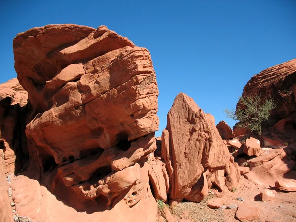 Valley of Fire Nevada — Stock Photo, Image