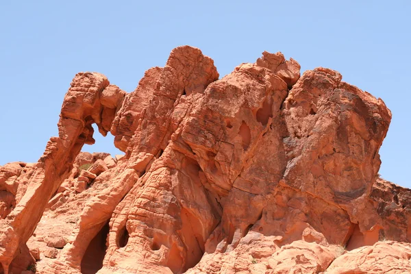 Elefante Rock no Vale do Fogo Nevada — Fotografia de Stock