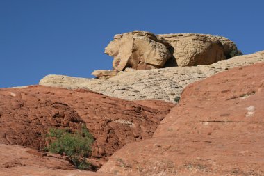 Red Rock Canyon Nevada