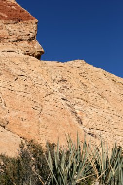 Red Rock Canyon Nevada