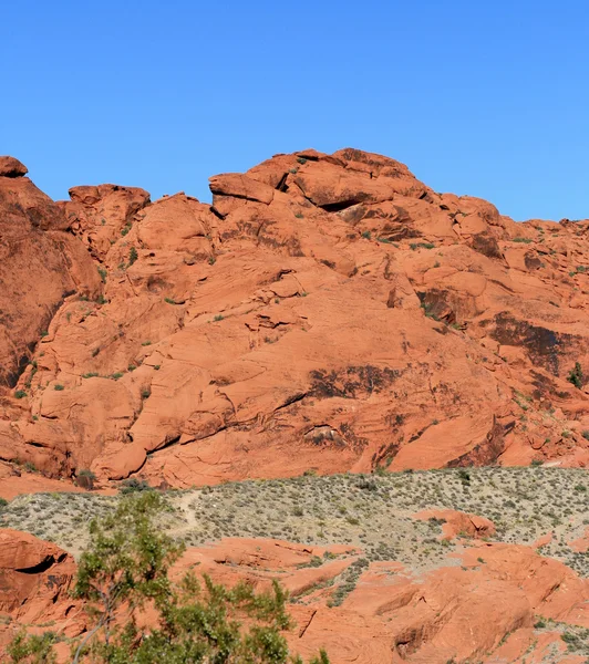 Red Rock Canyon Nevada — Stock Photo, Image