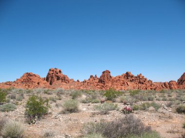 Valley of Fire Nevada