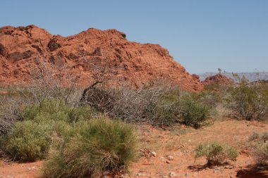 Valley of Fire Nevada