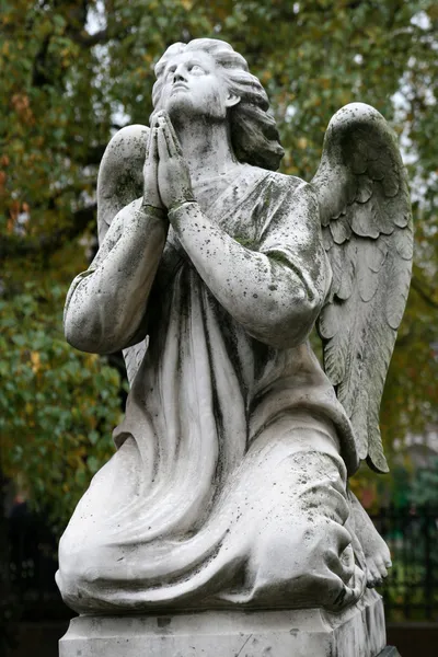 stock image Grave angel