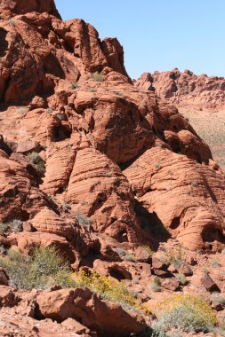 Valley of Fire Nevada