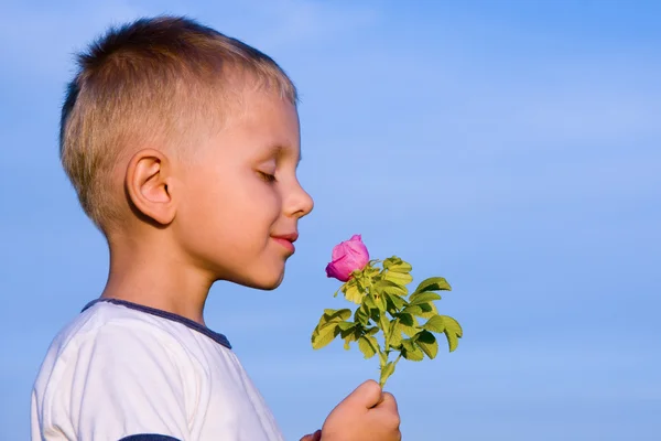 Хлопчик пахне трояндовою квіткою — стокове фото