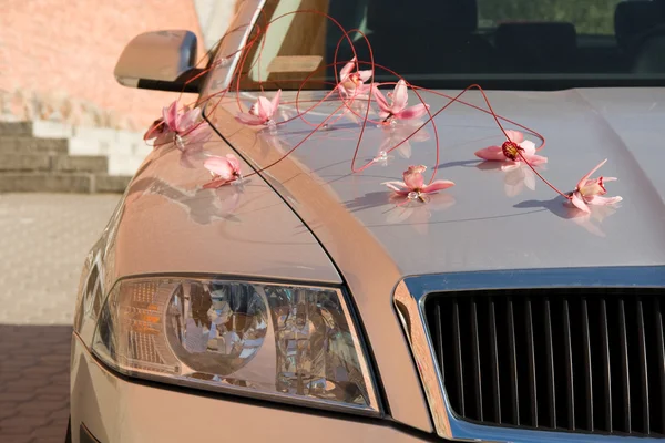 Wedding car decorated — Stock Photo, Image